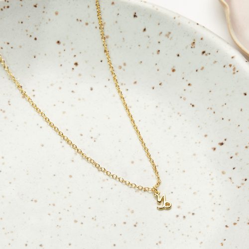 celestial capricorn zodiac necklace 505168