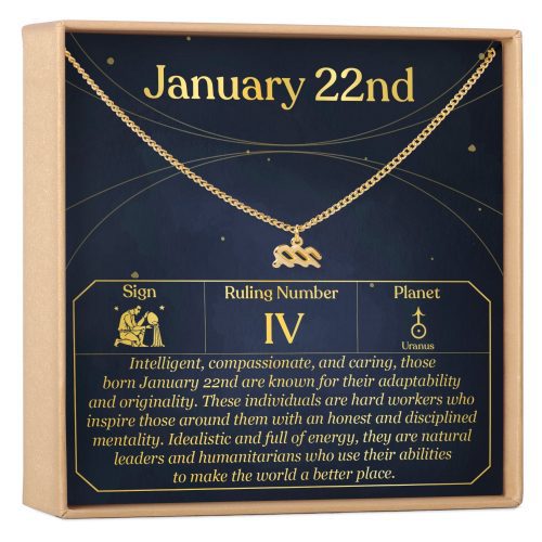 January 22nd Aquarius Necklace - Dear Ava