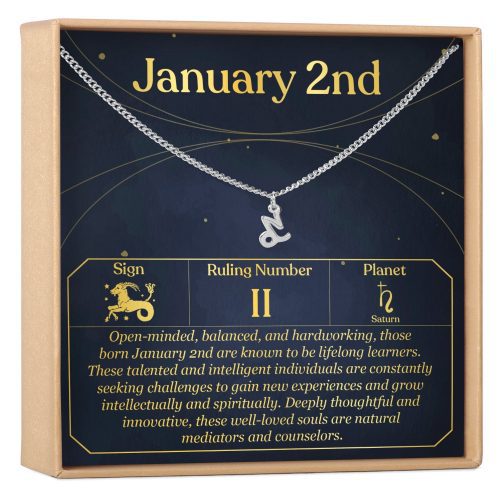 January 2nd Capricorn Necklace - Dear Ava