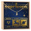 Starry Night Capricorn Zodiac Necklace - Dear Ava