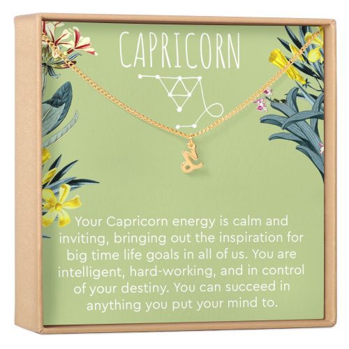 Capricorn Zodiac Gift Necklace - Dear Ava