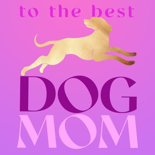 dog mom gift box set 438805