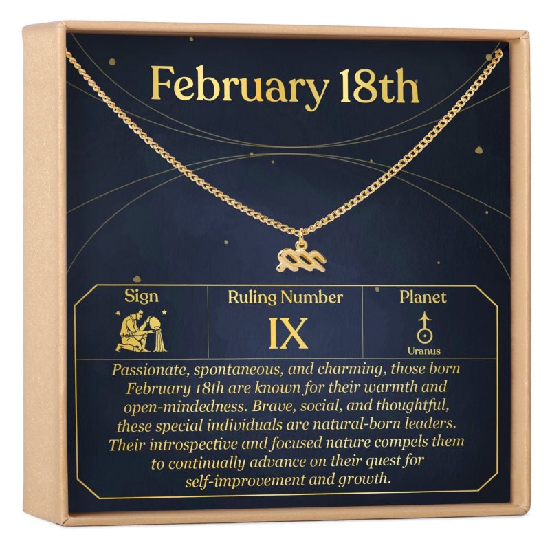 February 18th Aquarius Necklace - Dear Ava