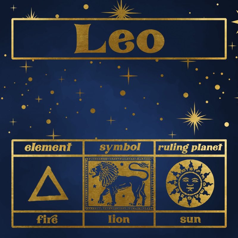 leo zodiac gift box set 313967