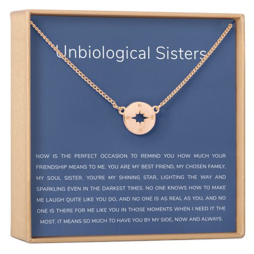 Unbiological Sisters Compass Necklace - Dear Ava