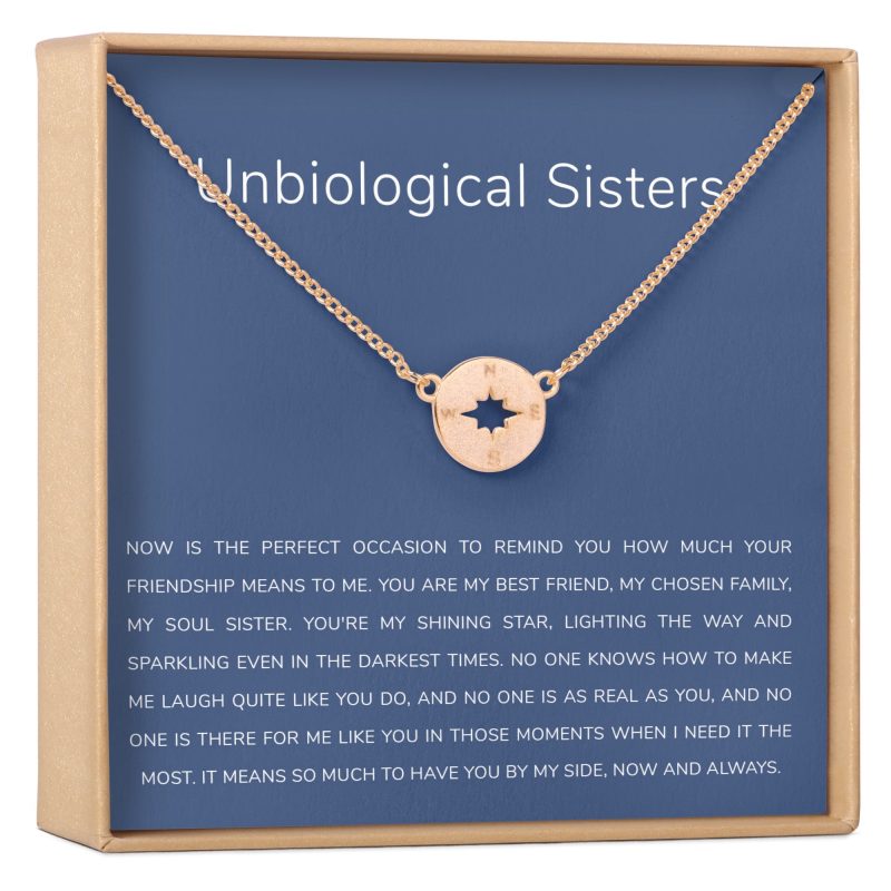 Unbiological Sisters Compass Necklace - Dear Ava